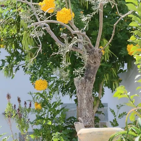 Villa Amalia *